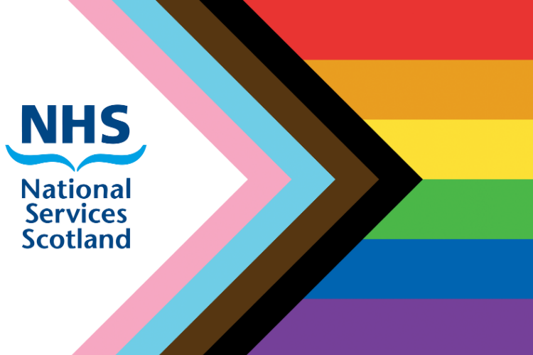 Graphic with NSS logo and Progress Pride rainbow flag